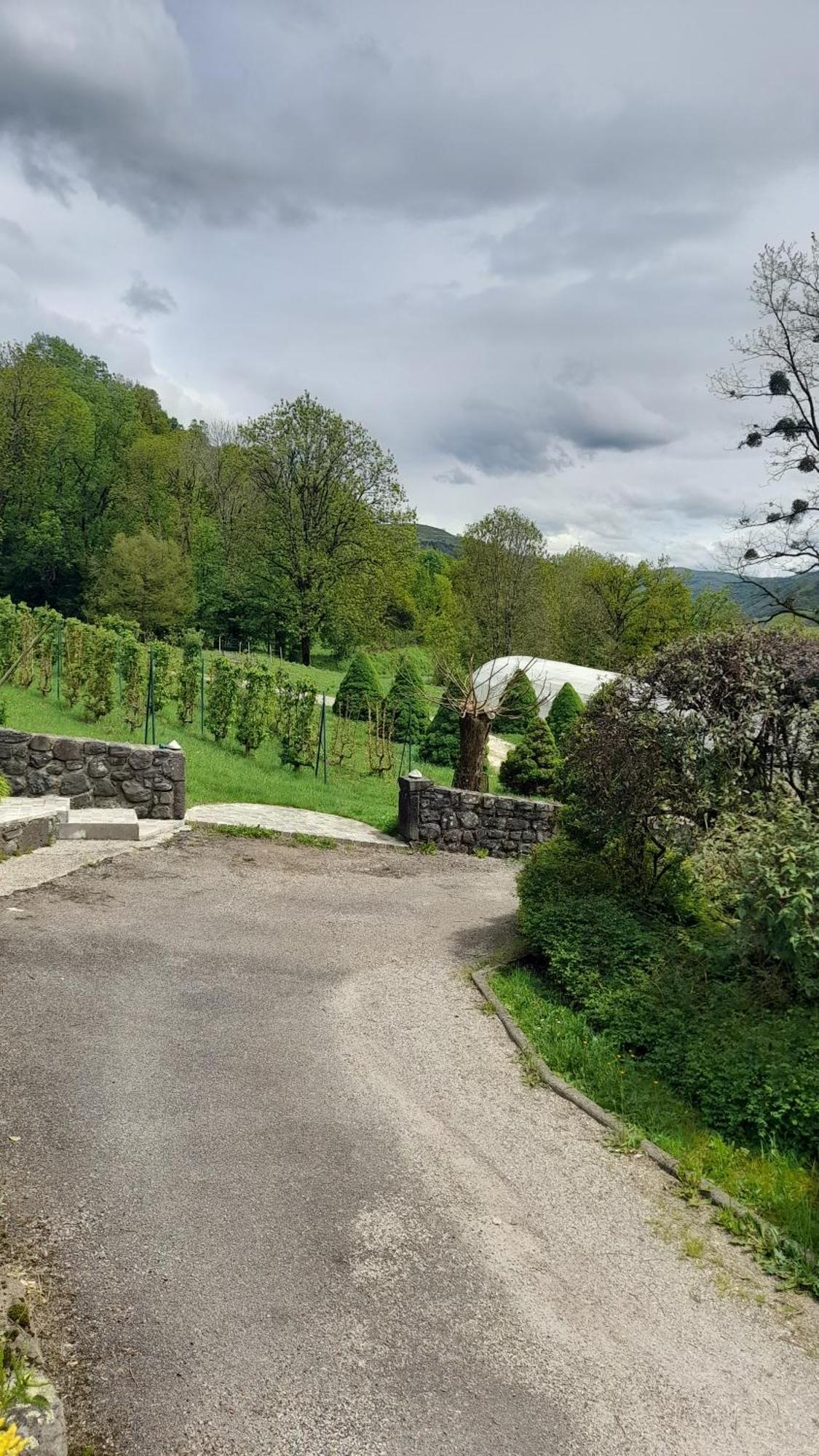 Chambre D'Hote Dans Le Cantal Vallee De La Maronne Saint-Martin-Valmeroux Bagian luar foto