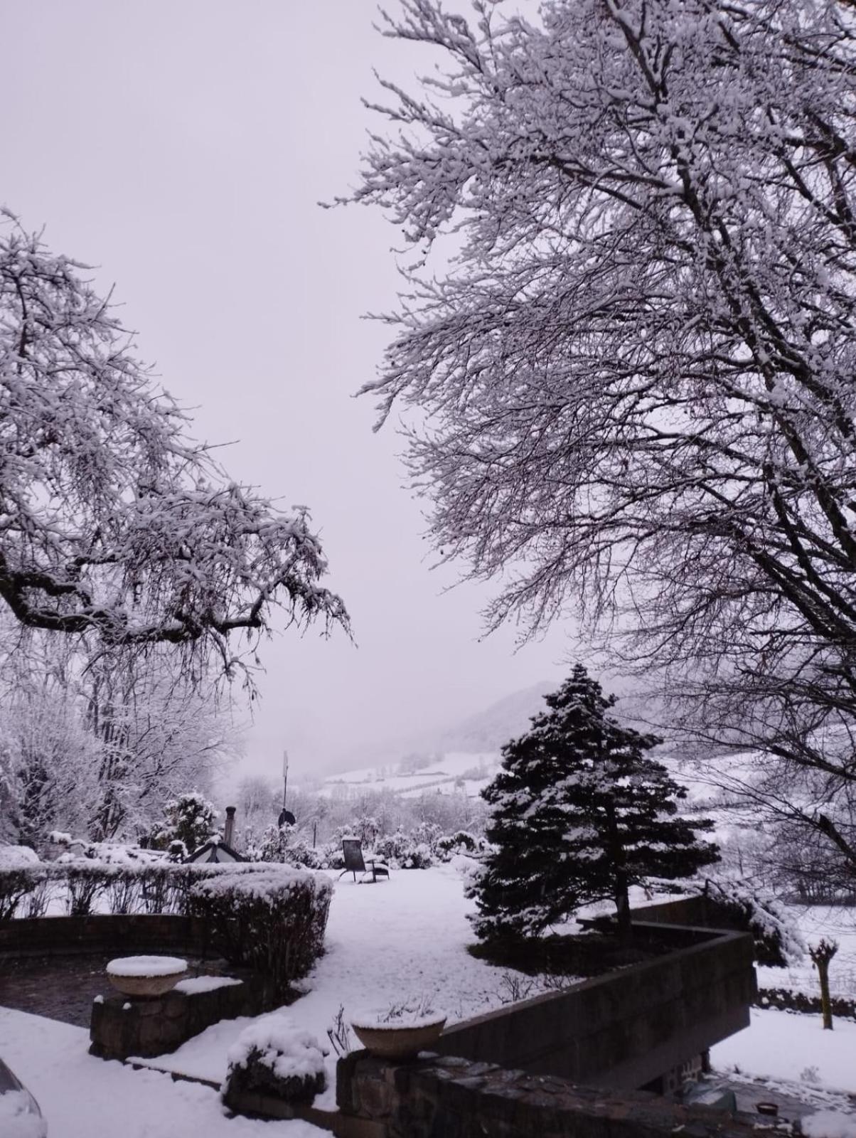 Chambre D'Hote Dans Le Cantal Vallee De La Maronne Saint-Martin-Valmeroux Bagian luar foto
